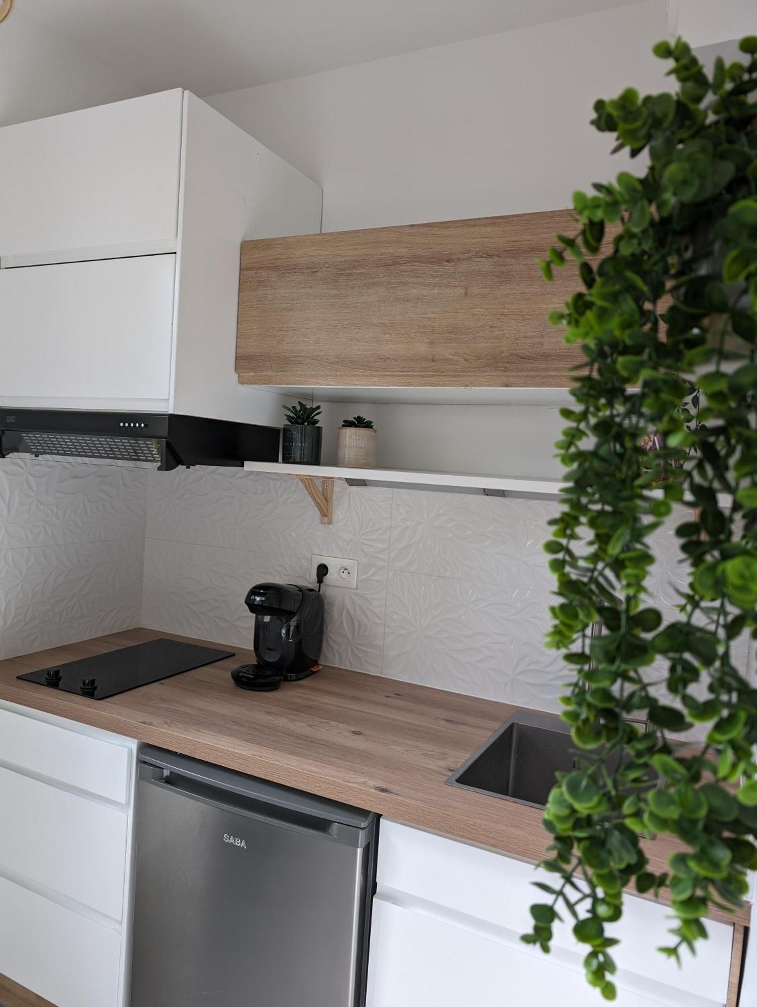 Appartement Cosy Au Calme A Cote Du Zoo Avec Balcon Et Parking Securise มงต์เปอลิเยร์ ภายนอก รูปภาพ